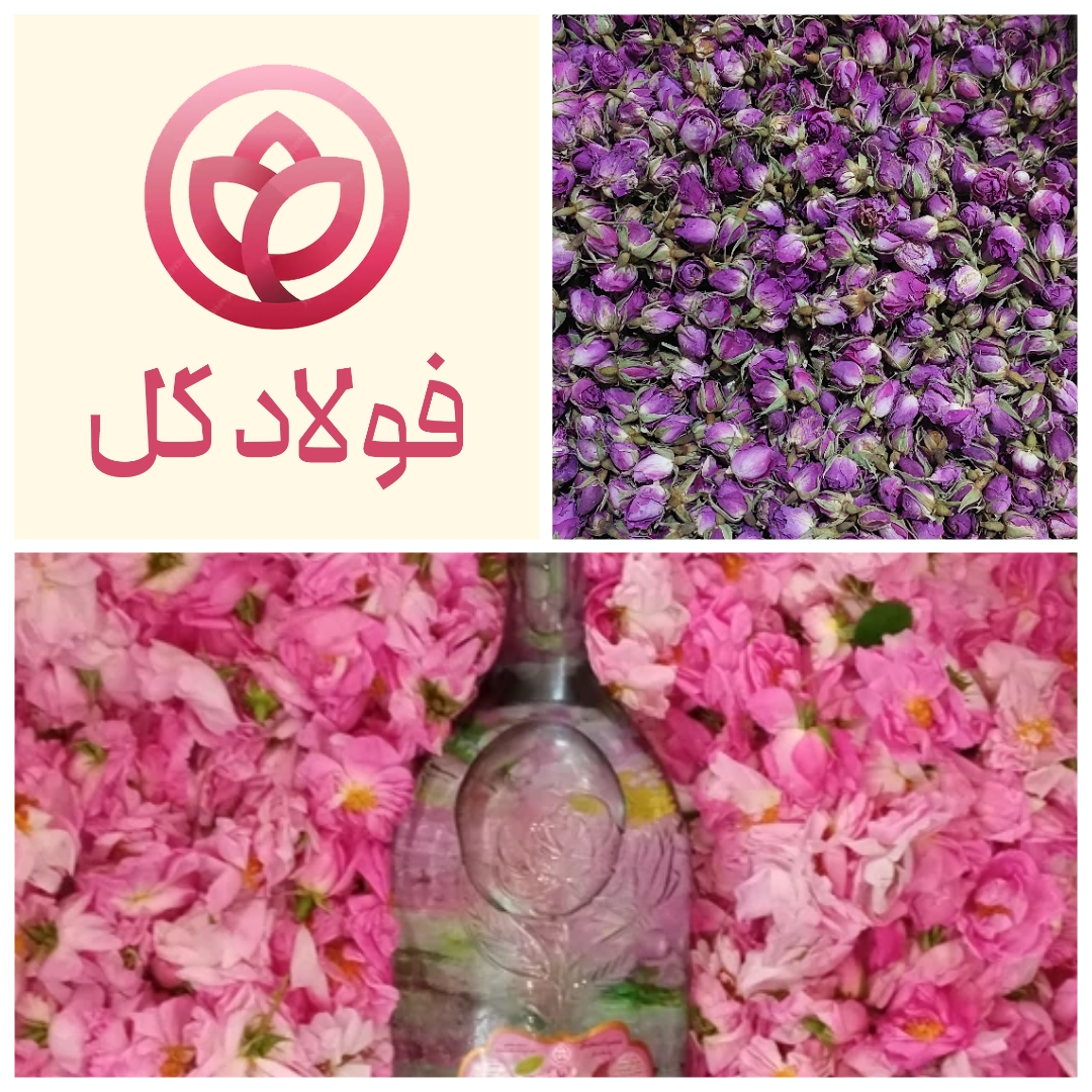 فروش عمده گلاب ارگانیک داراب